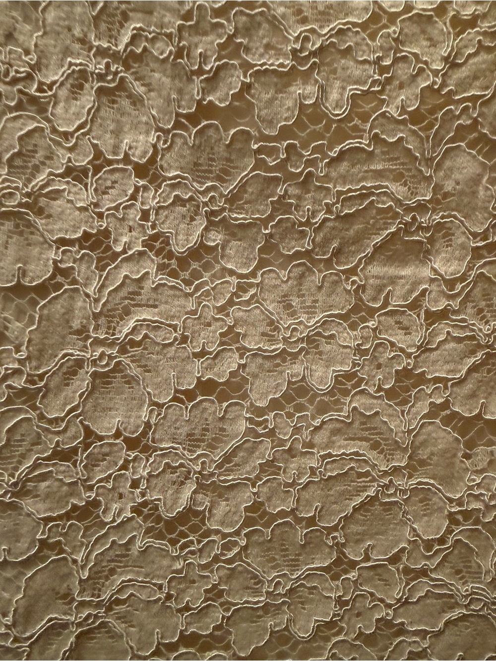 Charley’s Boutique-Cream Lace Peplum Sleeveless Top-Medium - Picture 5 of 6